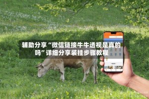 辅助分享“微信链接牛牛透视是真的吗”详细分享装挂步骤教程