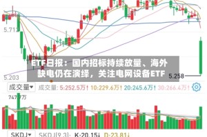 ETF日报：国内招标持续放量、海外缺电仍在演绎，关注电网设备ETF