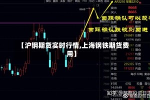 【沪钢期货实时行情,上海钢铁期货费用】