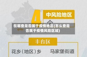 在哪查是否属于疫情地区(怎么查是否属于疫情风险区域)