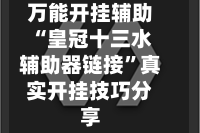 万能开挂辅助“皇冠十三水辅助器链接”真实开挂技巧分享