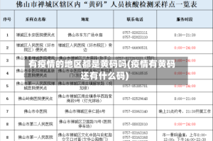 有疫情的地区都是黄码吗(疫情有黄码还有什么码)