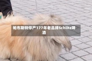 帕布斯特停产177年老品牌Schlitz啤酒