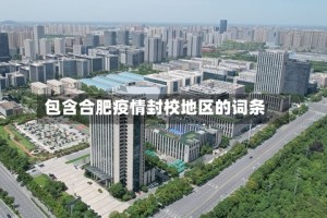 包含合肥疫情封校地区的词条