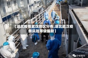 【湖北疫情武汉地区分布,湖北武汉疫情风险等级最新】