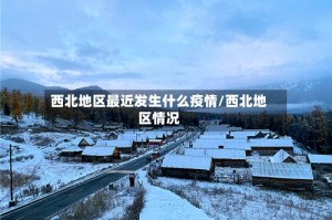 西北地区最近发生什么疫情/西北地区情况