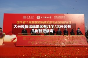 大兴疫情出现地区有几个/大兴区有几例新冠病毒
