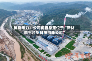 神马电力：公司将自身定位于“新材料平台型科技创新公司”