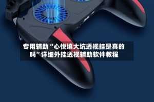 专用辅助“心悦填大坑透视挂是真的吗”详细外挂透视辅助软件教程
