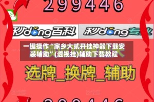 一键操作“家乡大贰开挂神器下载安装辅助”(透视挂)辅助下载教程