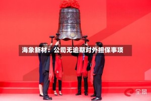 海象新材：公司无逾期对外担保事项