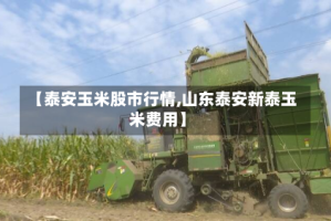 【泰安玉米股市行情,山东泰安新泰玉米费用】