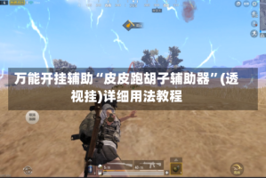 万能开挂辅助“皮皮跑胡子辅助器”(透视挂)详细用法教程