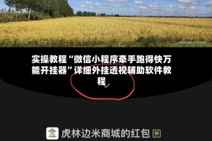 实操教程“微信小程序牵手跑得快万能开挂器”详细外挂透视辅助软件教程