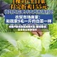 疫情严重的地区蔬菜咋卖/疫情期间卖菜怎么样挣钱吗