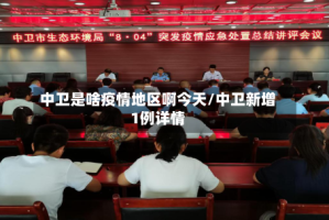 中卫是啥疫情地区啊今天/中卫新增1例详情