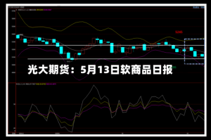 光大期货：5月13日软商品日报