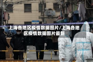 上海各地区疫情数据图片/上海各地区疫情数据图片最新