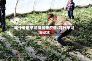 喀什地区草湖镇最新疫情/喀什草湖镇现状