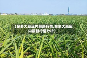 【金乡大蒜库内最新行情,金乡大蒜库内最新行情分析】