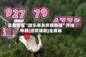 实测教程“微乐亲友房辅助器”开挂神器{透视辅助}全揭秘