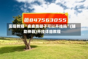 实操教程“皮皮跑胡子可以开挂吗”(辅助神器)开挂详细教程