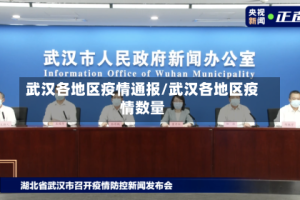 武汉各地区疫情通报/武汉各地区疫情数量