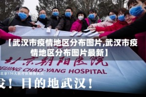 【武汉市疫情地区分布图片,武汉市疫情地区分布图片最新】