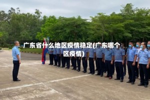 广东省什么地区疫情稳定(广东哪个区疫情)