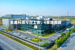 长鑫科技今日上会，6家险资现身