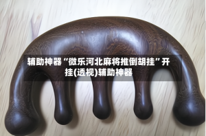 辅助神器“微乐河北麻将推倒胡挂”开挂(透视)辅助神器