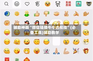 辅助神器“微信链接牛牛透视挂”(必备工具)辅助教学
