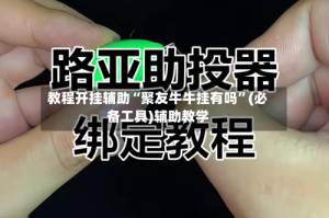 教程开挂辅助“聚友牛牛挂有吗”(必备工具)辅助教学