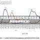 杭州地区最新传染疫情(杭州地区最新传染疫情数据)