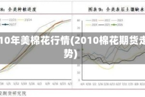 2010年美棉花行情(2010棉花期货走势)