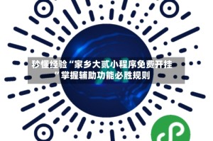 秒懂经验“家乡大贰小程序免费开挂”掌握辅助功能必胜规则