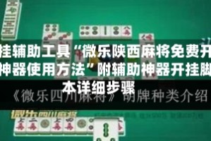 开挂辅助工具“微乐陕西麻将免费开挂神器使用方法”附辅助神器开挂脚本详细步骤