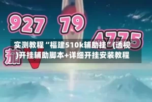实测教程“福建510k辅助挂”(透视)开挂辅助脚本+详细开挂安装教程
