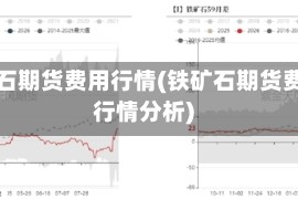 铁矿石期货费用行情(铁矿石期货费用行情分析)