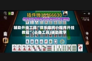 辅助开挂工具“微乐麻将小程序开挂教程”(必备工具)辅助教学