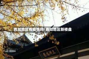 真如地区有疫情吗/真如地区新楼盘