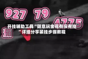 开挂辅助工具“随意玩金花有没有挂”详细分享装挂步骤教程