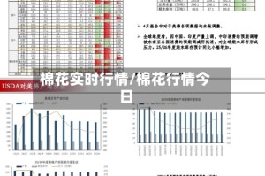 棉花实时行情/棉花行情今日