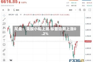 尾盘：美股小幅上扬 标普指数上涨0.2%