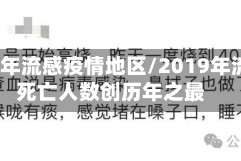 2019年流感疫情地区/2019年流感死亡人数创历年之最