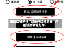 辅助挂机软件“微乐开挂辅助器”详细辅助教程分享