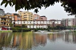 广州棠东地区有疫情吗现在(广州棠东是城中村吗)