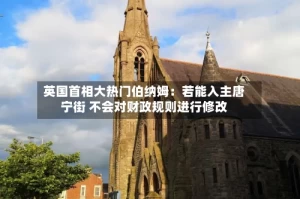 英国首相大热门伯纳姆：若能入主唐宁街 不会对财政规则进行修改