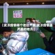 【武汉疫情哪个地区严重,武汉疫情最严重的地方】