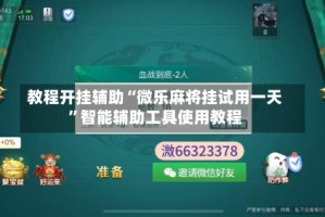 教程开挂辅助“微乐麻将挂试用一天”智能辅助工具使用教程